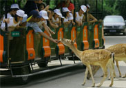 Xiangjiang Safari Park